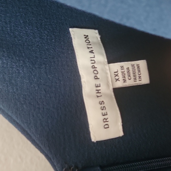 Dress the Population Corey V Neck Short Sleeve Chiffon Lace Trim Midi, Size Xxl - Picture 11 of 15